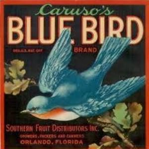 Meet your Posher, Lydia